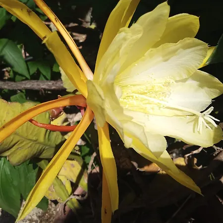 George And Helen's Corfu (city)