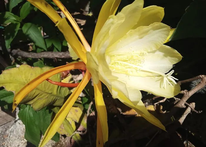 George And Helen's Corfu (city)